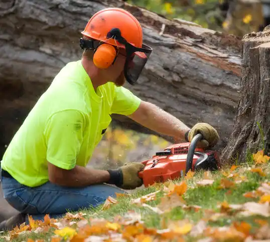 tree services Coats